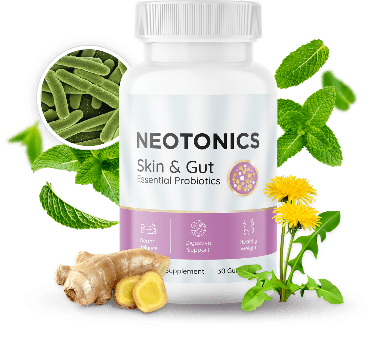 Neotonics Review – Unveiling the Potential of the Cognitive Enhancement Supplement Neotonics Review – Unveiling the Potential of the Cognitive Enhancement Supplement