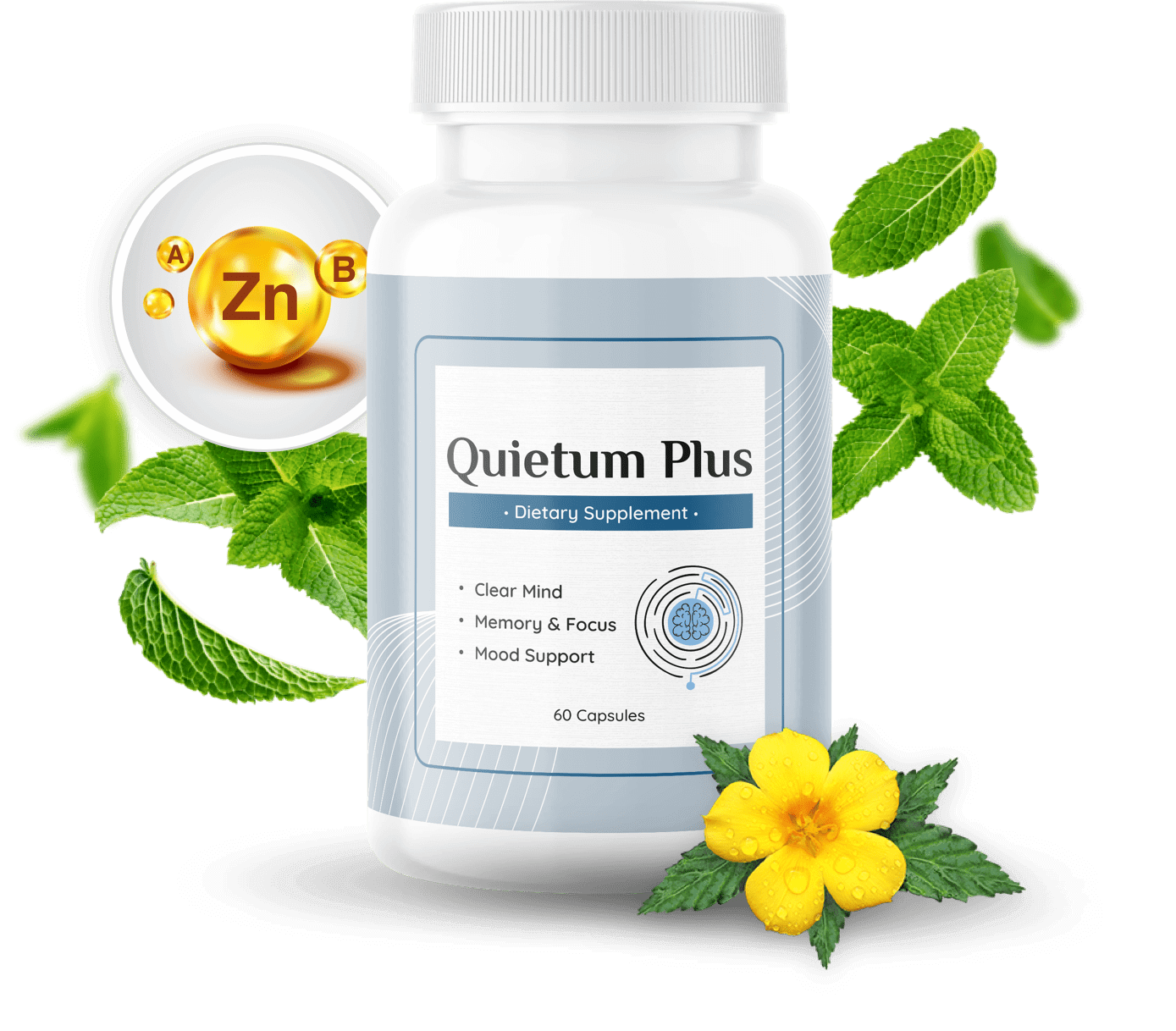 Quietum Plus Review – Assessing the Effectiveness of the Hearing Health Supplement Quietum Plus Review – Assessing the Effectiveness of the Hearing Health Supplement